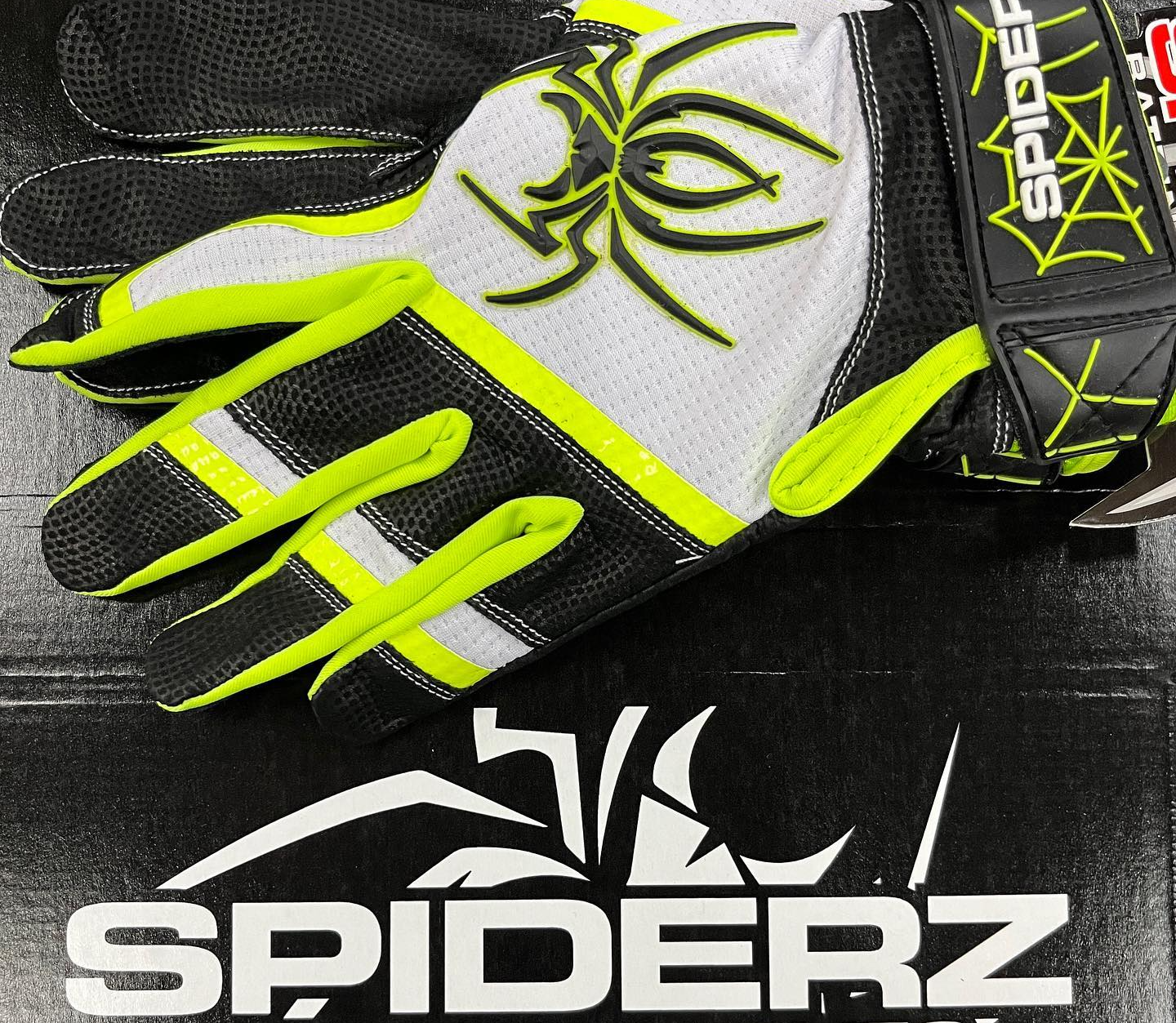 Spiderz