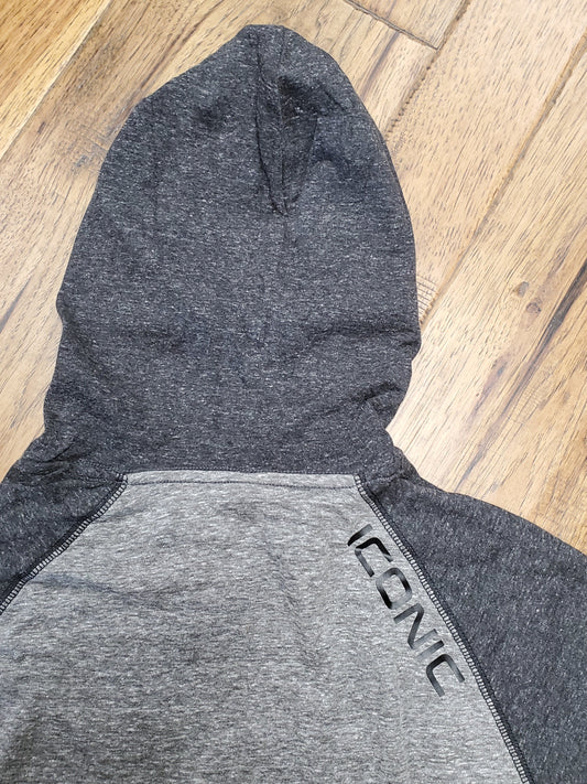 Iconic Triblend Hooded Tee